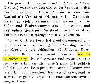 Bērziņš, B (1955): Skrifter utgivna av Södra Sveriges Fiskeriförening Årsskrift 1954-1955 p.32